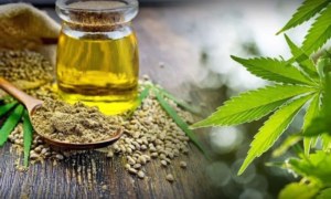 Can CBD Oil Help with Hair Growth?