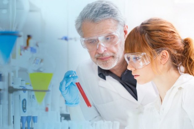 Explain the Importance of Pharmacokinetic (PK) Studies in Drug Discovery and Development