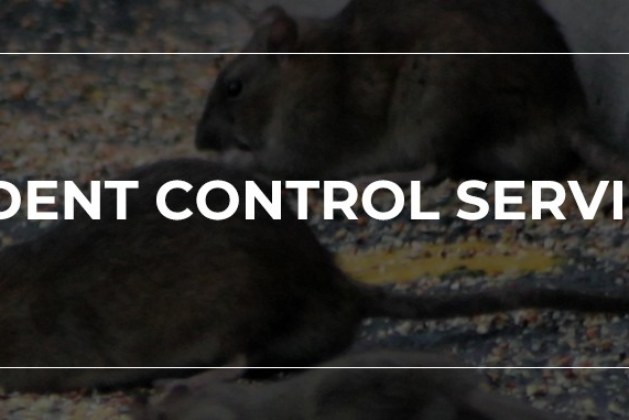 Things To Consider Before Hiring A Commercial Pest Control Service