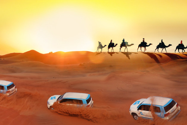 Dubai Desert Safari Thrill You Want