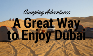 Activities To Enjoy When You Are In Dubai