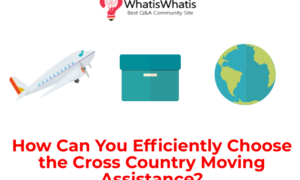 How Can You Efficiently Choose the Cross Country Moving Assistance?