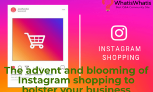 The advent and blooming of Instagram shopping to bolster your business