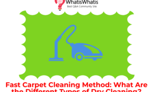 Fast Carpet Cleaning Method: What Are the Different Types of Dry Cleaning?