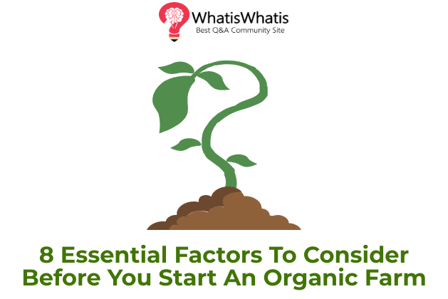 8 Essential Factors To Consider Before You Start An Organic Farm