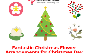 Fantastic Christmas Flower Arrangements for Christmas Day