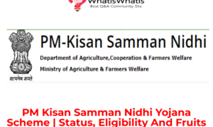 PM Kisan Samman Nidhi Yojana Scheme (PMKSNY)| Status, Eligibility And Fruits