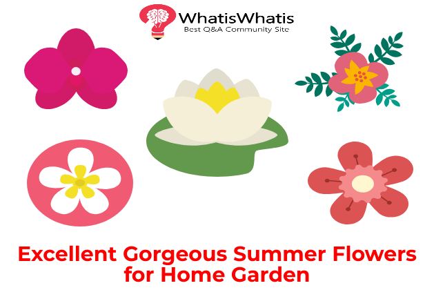 Excellent Gorgeous Summer Flowers for Home Garden