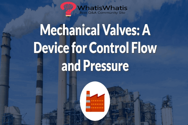 Mechanical Valves: A Device for Control Flow and Pressure - WhatisWhatis