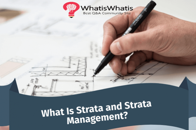 What Is Strata and Strata Management?