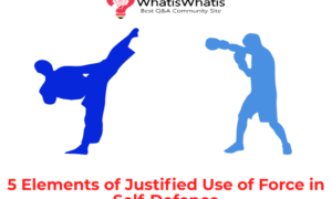 5 Elements of Justified Use of Force in Self-Defence