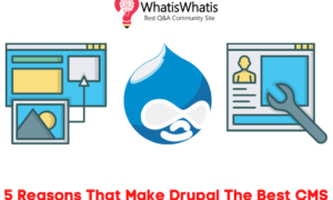 5 Reasons That Make Drupal The Best CMS