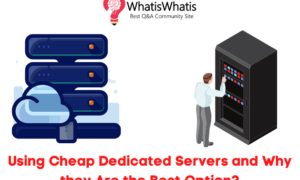 Using Cheap Dedicated Servers and Why they Are the Best Option?