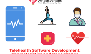 Telehealth Software Development: Characteristics and Concurrence