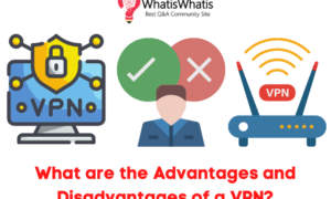 What are the Advantages and Disadvantages of a VPN?