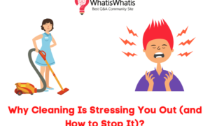 Why Cleaning Is Stressing You Out (and How to Stop It)?