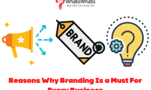 Reasons Why Branding Is a Must For Every Business