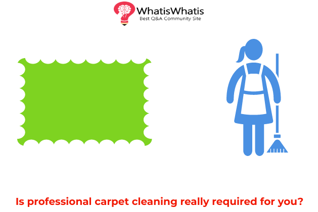 Professional Carpet Cleaning, The Importance of Hygiene in Offices