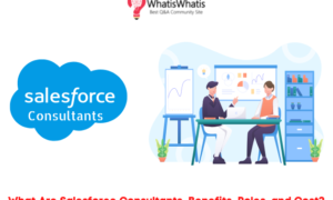 Salesforce Consultants: Why and How To Hire?