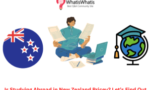 Is Studying Abroad in New Zealand Pricey? Let’s Find Out