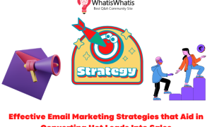 Effective Email Marketing Strategies that Aid in Converting Hot Leads Into Sales