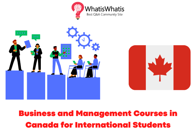 Business and Management: Best Courses in Canada for International Students